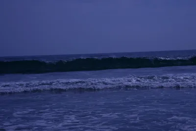 DSC_2140 (Large).JPG